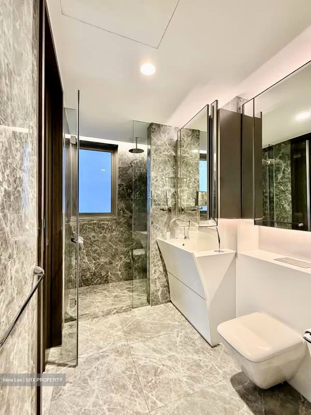Cairnhill Nine (D9), Apartment #570161371